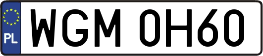 WGM0H60
