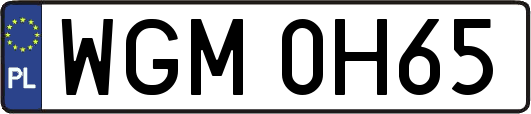 WGM0H65