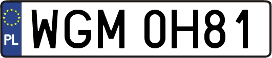WGM0H81