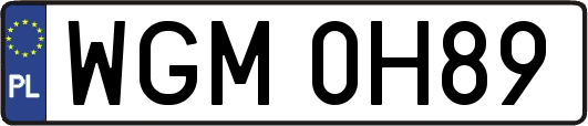 WGM0H89