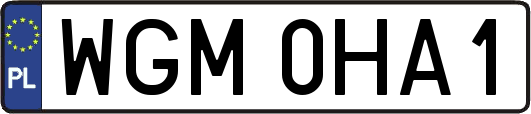 WGM0HA1