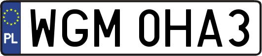 WGM0HA3