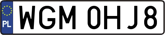 WGM0HJ8