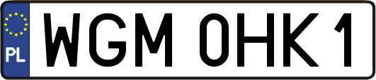 WGM0HK1