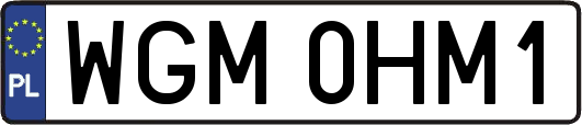 WGM0HM1