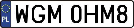 WGM0HM8