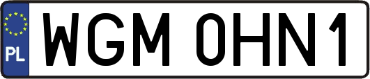 WGM0HN1