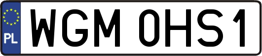WGM0HS1