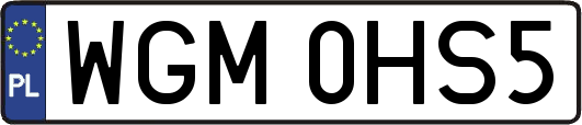 WGM0HS5