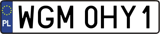 WGM0HY1