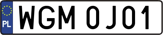 WGM0J01