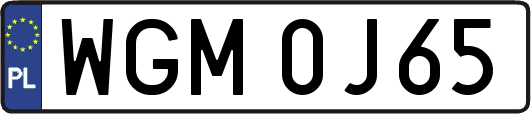 WGM0J65