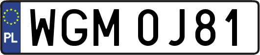 WGM0J81