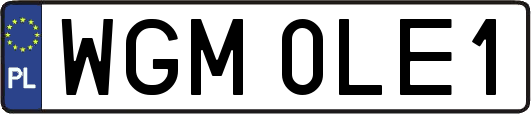 WGM0LE1