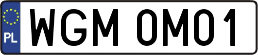 WGM0M01
