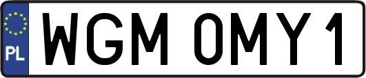 WGM0MY1