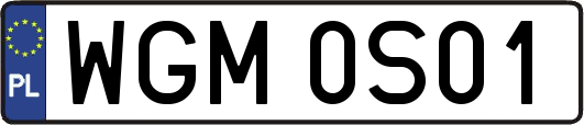 WGM0S01