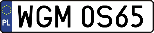 WGM0S65