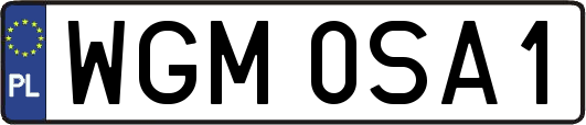 WGM0SA1