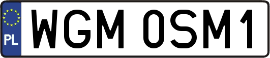 WGM0SM1