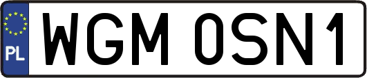 WGM0SN1