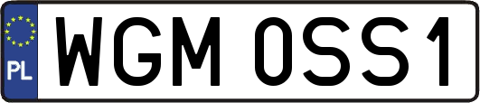 WGM0SS1