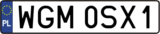 WGM0SX1