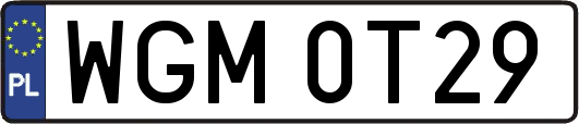 WGM0T29