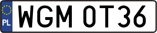 WGM0T36