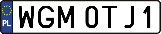 WGM0TJ1