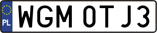 WGM0TJ3