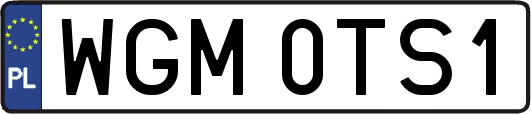 WGM0TS1