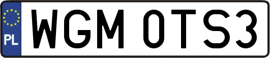 WGM0TS3