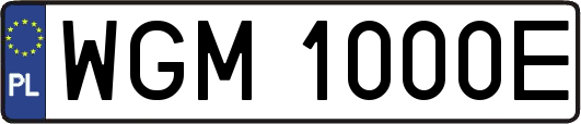 WGM1000E