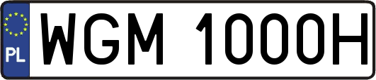 WGM1000H