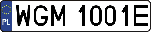 WGM1001E