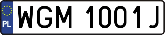 WGM1001J