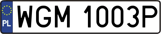 WGM1003P