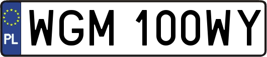 WGM100WY