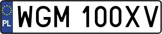 WGM100XV