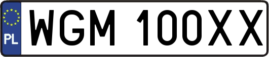 WGM100XX