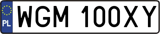 WGM100XY
