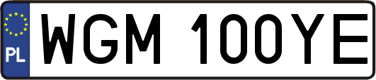 WGM100YE