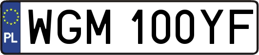 WGM100YF