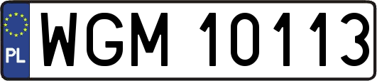 WGM10113