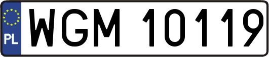 WGM10119