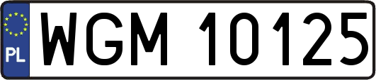 WGM10125