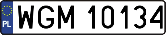 WGM10134