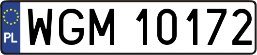 WGM10172