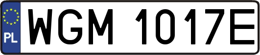 WGM1017E
